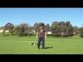 videos de Back Flip Variations