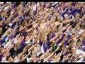 Ver Video