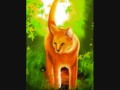 Warriors Power of Three Sunrise Tribute- Goodbye