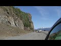 Dall sheep on Turnagain Arm near Anchorage, Alaska