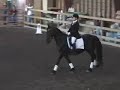 Marvin's Music - Dressage to music example