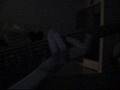 videos de Bass cover of (Anesthesia) Pulling Teeth