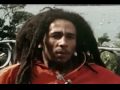 bob marleys struggle   the rights fight