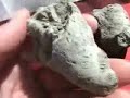 Fossil Hunting - Dry Dredgers Sept.field trip Ind.2007 pt 1