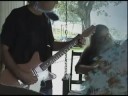our good friend steve wishnia from new york city hooks up with us in north carolina for a rightous version of john holt's, 