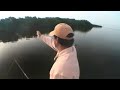 7 Minutes of Mayhem - Yucatan Baby Tarpon 7 Minutes of Mayhem - Yucatan Baby Tarpon