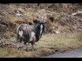Travelling around Scotland - Part 2
