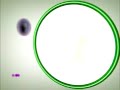 Megafon-Kavkaz Megafon-Kavkaz