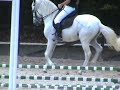 Yago Goodgod montando VIOLINO ( PS Lusitano VO )
