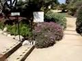 Encinitas Meditation Gardens Encinitas Ca.