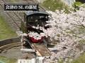 夢のSL鉄道 さくら1号 会津のSLの部屋