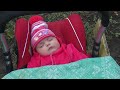 посадка чеснока