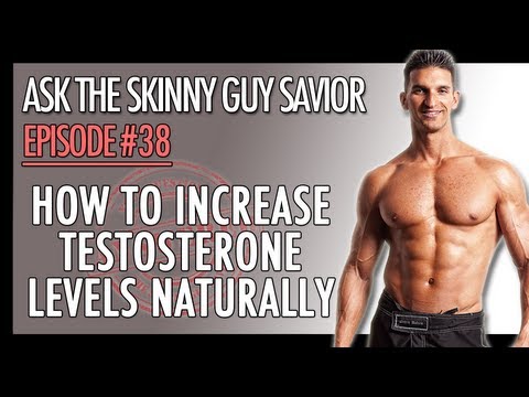 VinceDelMonte - How to increase your testosterone levels naturally so that you can build muscle quicker, lose fat faster and without having to rely on expensive hormone repl...