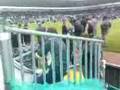videos de Plymouth Argyle fan....Who is it? More of what you want!