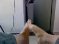 Prologo de 2 Pies.3GP