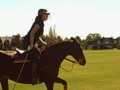 Polo Barbie