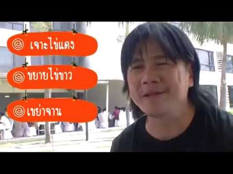 เปิดกบาลสานสร้างสื่อสร้างสรรค์ เมืองสุขภาวะ เปิดกบาลสานสร้างสื่อสร้างสรรค์ เมืองสุขภาวะ