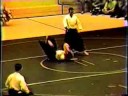 NY Aikikai 20th Demo - Part 4 of 8