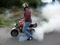 honda monkey 140cc burnouts