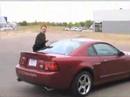 ford mustang cobra svt