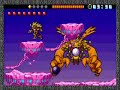 EmperorGreymon Vs Kerpymon
