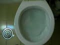 Counter-Clockwise Toilet Flush in South America Counter-Clockwise Toilet Flush in South America