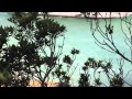 February 27th, Slaughter Taiji Japan