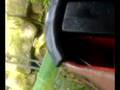 Log flume at Camelot