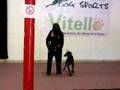 vitello dog's sport, dog dance 2007, 5