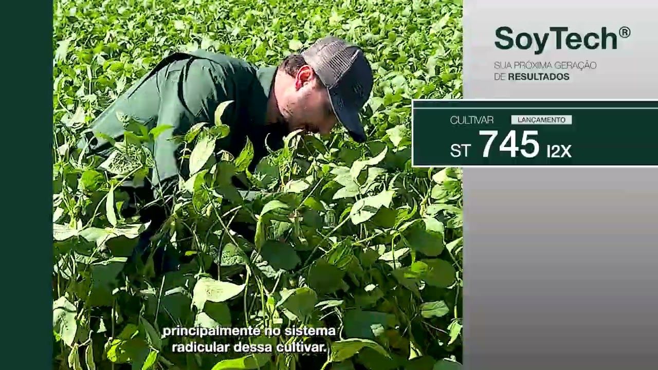 ST 745 I2X SoyTech®: alto potencial produtivo, ampla adaptação e raiz que faz a diferença