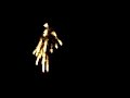 Fireworks as Illinois fans celebrate a Final Four victory
