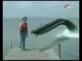 Ataque Anguila Gigante
