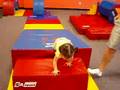 little gym
