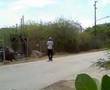 Winc choler. Curacao