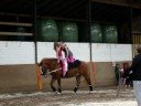 Skritt/Bock t�vling Tyskland Showk�r