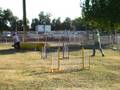 videos de Kelly's Texas Tag's Agility run