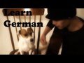Learn German With JC & Kaiser (Guten Morgen Guten Tag)