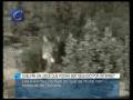 videos de Sueltan, en Doñana, un lince que podrá ser seguido por Internet