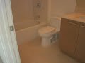 Chicago Real Estate- Penthouse City Condo Chicago Real Estate- Penthouse City Condo