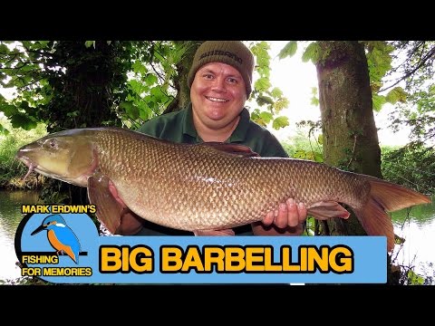 how to decide who to employ