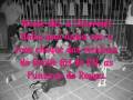 videos de RNR 1.wmv