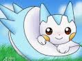 Pachirisu ~ Amazing