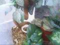 videos de 