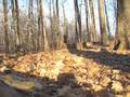 29er singlespeed MTB ride in Quebec