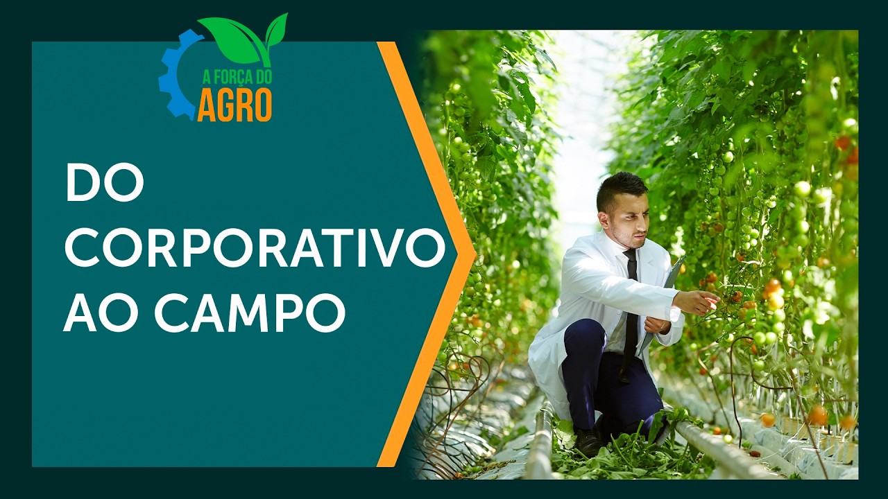 O segredo da macadâmia: como ela agrega valor ao agro  |  A Força do Agro, com Joice Maffezzolli