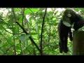 Lies of the Fur Industry / Pelsbransjens løgner (1/2) [with en/de/sv/fi subtitles]