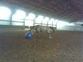 Boy, een soort van nieuwe Cruiff op manege de Delft 2