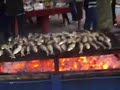ALTAMIRA LEZO SARDINADA