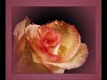 http://www.usaupload.net/d/qif1hrksn0d ( video originale)Chant du recueil de chant