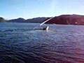Opps!. Our Flying Boat Sank...